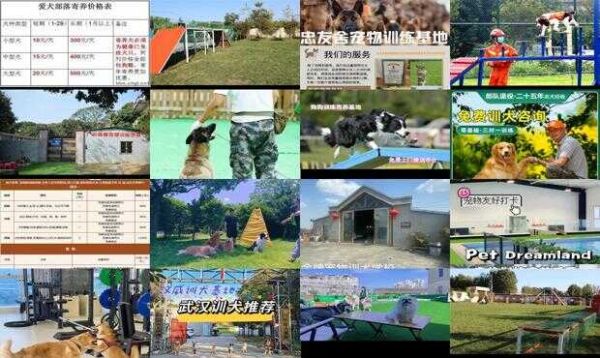 狗狗训练基地怎么收费的