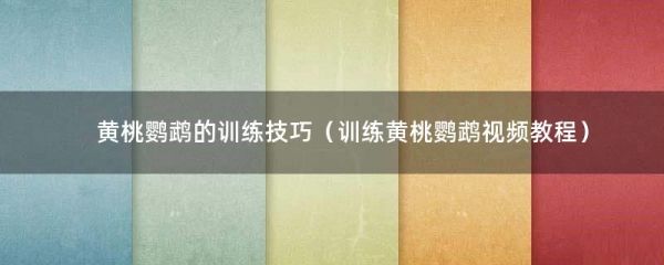 黄桃鹦鹉的训练技巧（训练黄桃鹦鹉视频教程）