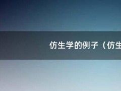 仿生学的例子（仿生学的例子）