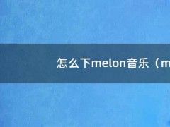 怎么下melon音乐（melon怎么下载安卓）