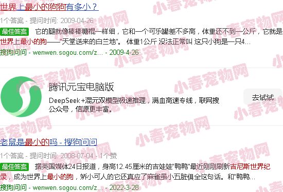 吉尼斯世界纪录最小的狗