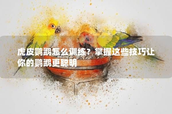 虎皮鹦鹉怎么训练？掌握这些技巧让你的鹦鹉更聪明