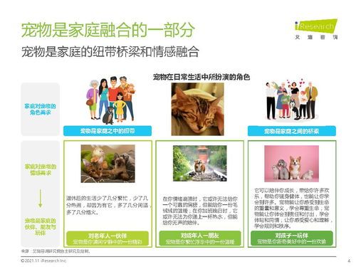 叮叮宠物：如何给宠物选择最适合的食品？宠物食品排行榜及选购指南