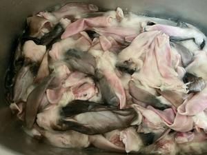 宠物自制零食 烘干带毛兔耳的做法 步骤2