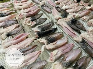 宠物自制零食 烘干带毛兔耳的做法 步骤3