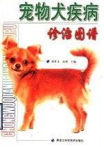 宠物犬疾病诊治图谱