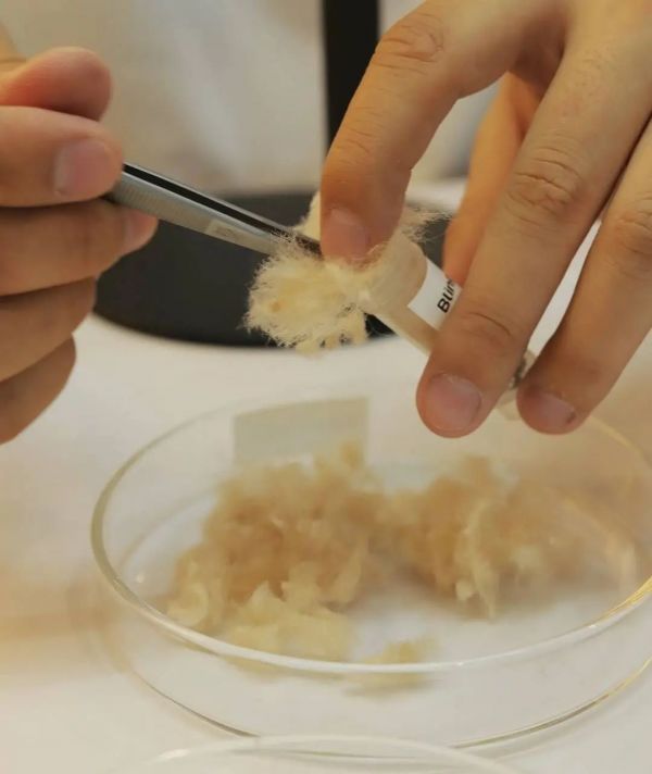 花费上万元，把宠物毛发做成钻石！到底是智商税还是情绪价值？