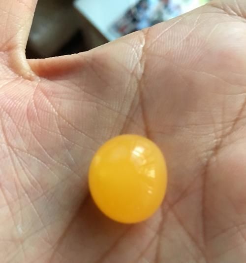 龙鱼的特点及饲养要点（探索龙鱼的神奇之处，解读养殖技巧）