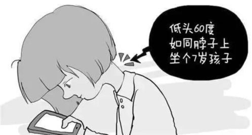 宠物关节健康问题不容忽视