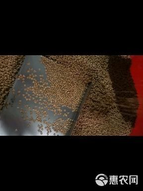 宠物饲料 全犬通用型犬粮牛肉味狗粮肉松犬粮牛肉粒犬粮厂家直