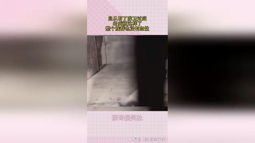 自从有了防卫过当，老虎就这样了，整个族群也没有血性！