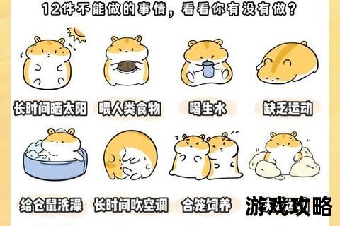 仓鼠拯救全指南：从急救措施到日常养护的20个实战技巧