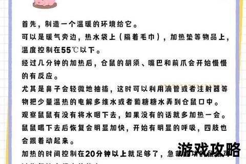 仓鼠拯救全指南：从急救措施到日常养护的20个实战技巧