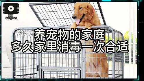 养宠物的家庭，多久家里消毒一次合适？