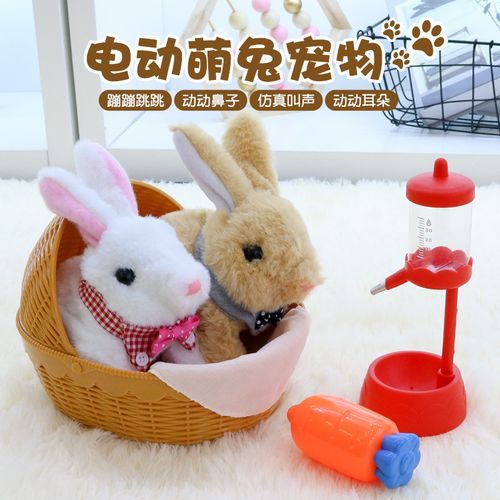 养成宠物兔玩具_宠物兔 玩具
