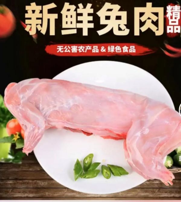 家养的兔子肉能吃吗,家养的兔子肉能吃吗有毒吗