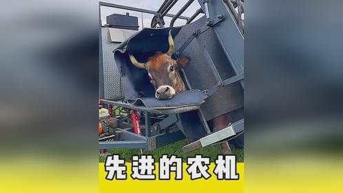 惊人的现代化农机，极大提升生产效率