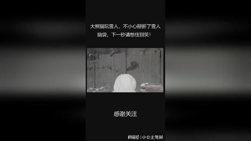 大熊猫玩雪人，不小心掰断了雪人脑袋，下一秒请憋住别笑！