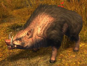 Warthog.jpg