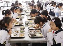 宠物健康饮食，营养均衡食谱