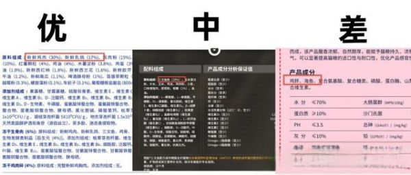 性价比逆天、猫粮天花板大盘点，品质销量口碑皆佳的四款国产好猫粮，快来看看你家主子吃到了吗？（内含23年618李佳琦直播间选品推荐）-有驾