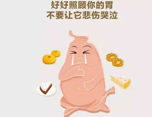 选易消化宠物食品，助宠物肠胃健康。