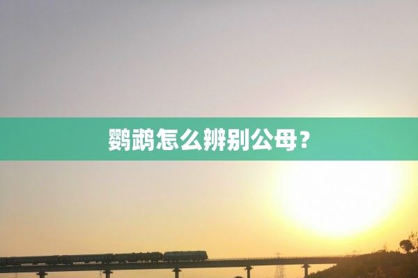 鹦鹉怎么辨别公母？