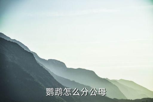 鹦鹉怎么分公母