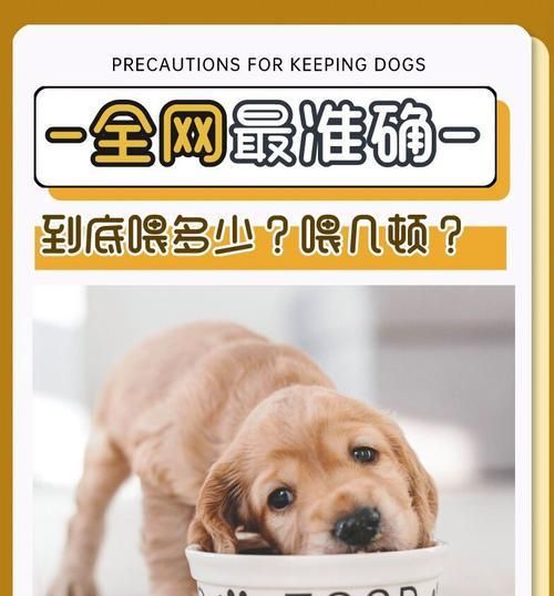 健康宠物，合理饮食——狗狗一天应该吃多少？（如何合理控制狗狗的饮食量？（）