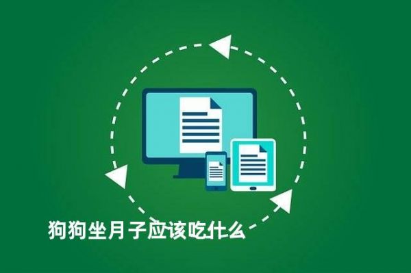 狗狗坐月子应该吃什么