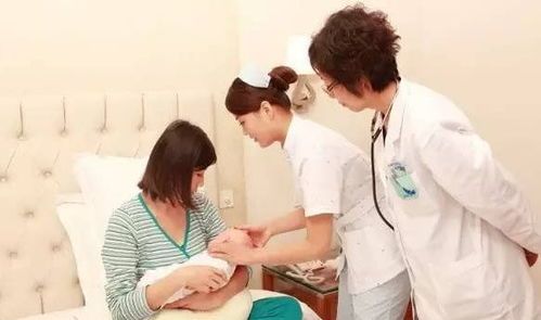 狗狗月子期:产后恢复关键期,科学护理很重要!