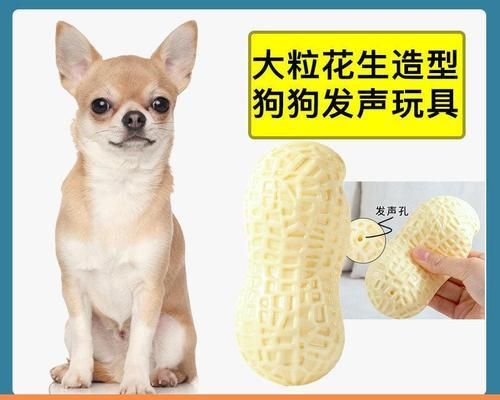 狗狗生完宝宝后吃东西呕吐怎么办？常见原因及解决方法是什么？