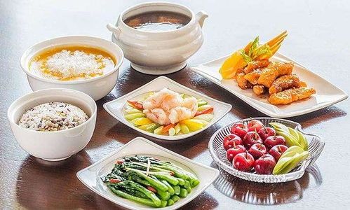“产后妈妈狗，营养食谱大公开！”
