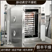 脉动真空干燥机 脉冲真空干燥机 药用真空干燥机