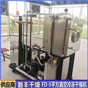水果杨桃片冻干机 速食调料速溶真空冷冻干燥机 冻干黑木耳 枸杞低温冻干机