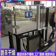 冻干机,制药冷冻设备,维生素冻干机,大型真空冷冻干燥机,小型冷冻干燥机厂家