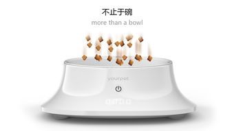 宠物健康饮食，科学喂食量。