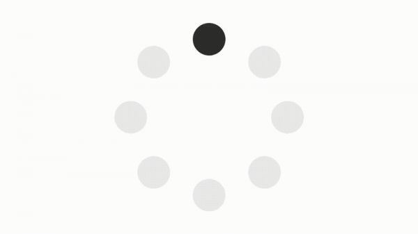 提供马戏驯兽表演服务 萌宠展租赁 马戏团表演出租