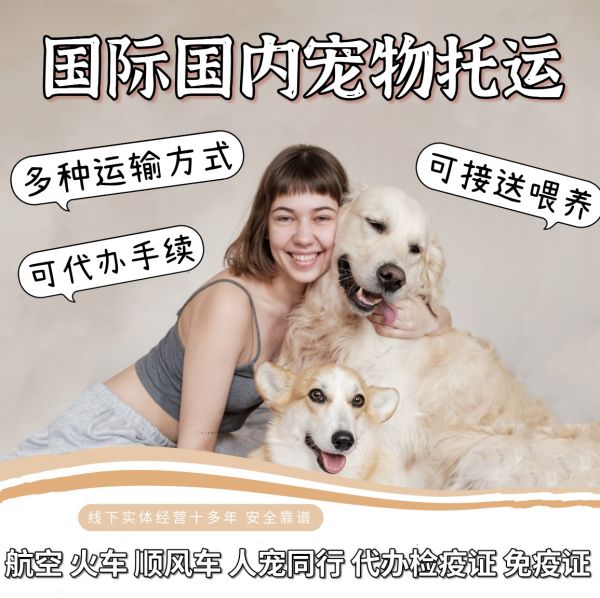 店主头像
