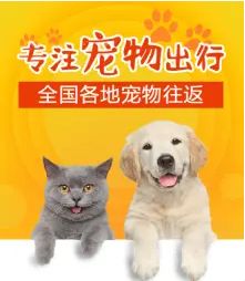 店主头像