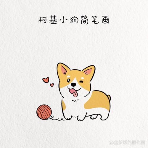 狗狗里的萌物柯基简笔画动物简笔画