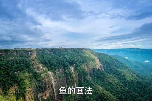 鱼的画法