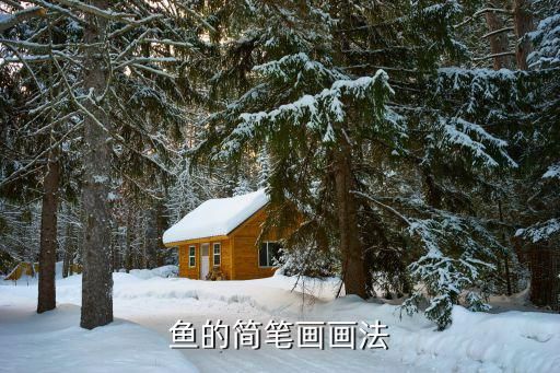鱼的简笔画画法