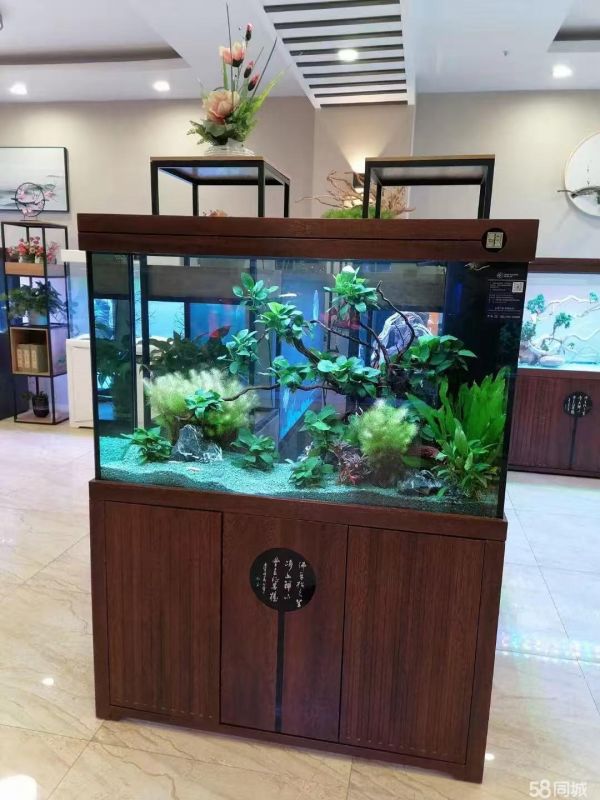 店主头像