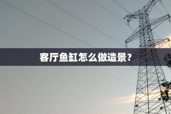 客厅鱼缸怎么做造景？