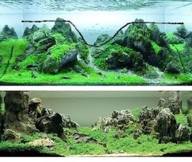 揭秘鱼缸造景秘籍:无水草也能焕发生机!
