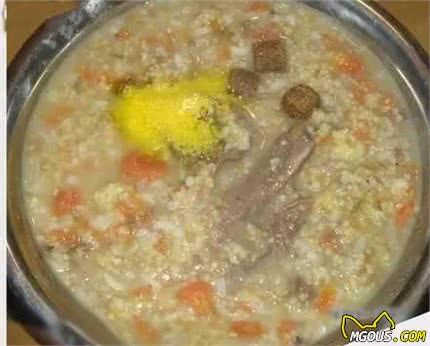 狗狗吃什么食物较好
