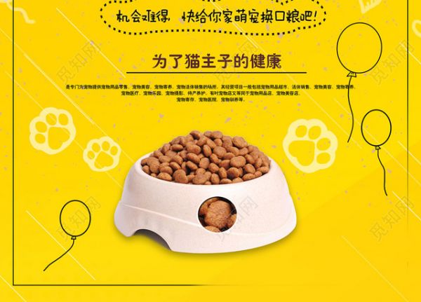 可爱卡通美味猫粮宠物商店宠物店促销海报
