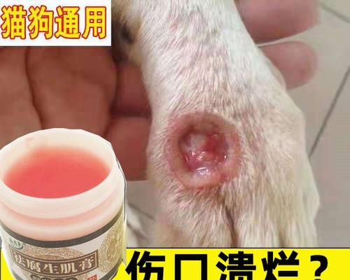 狗狗伤口消炎的正确方法是什么？