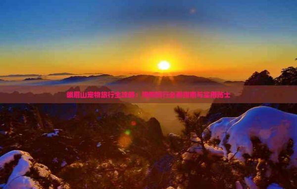 峨眉山宠物旅行全攻略：狗狗同行必看指南与实用贴士
